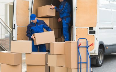  Reliable Cargo Packers and Movers Nagpur